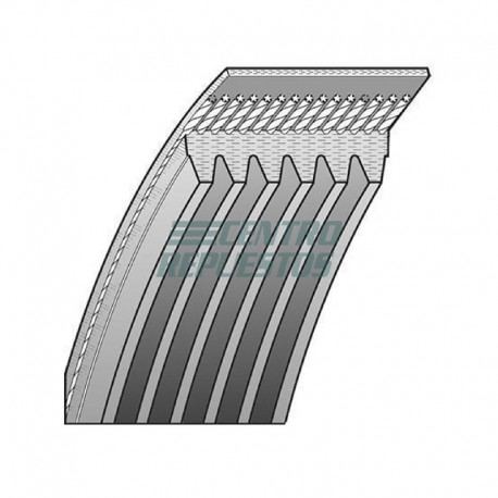 Correa de equipos GWM Wingle 2.0