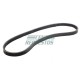 Correa de alternador GWM Deer/Safe